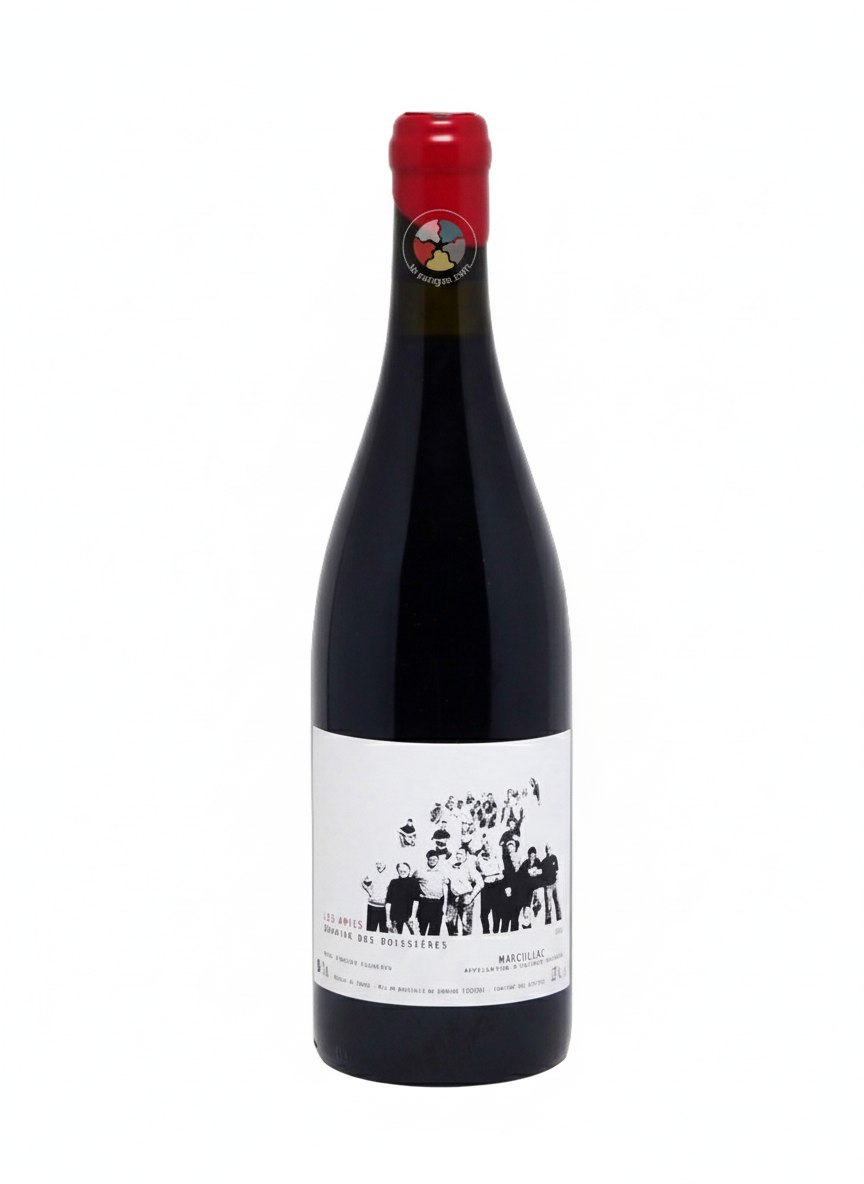 2021 Domaine des Boissières Los Amics Marcillac