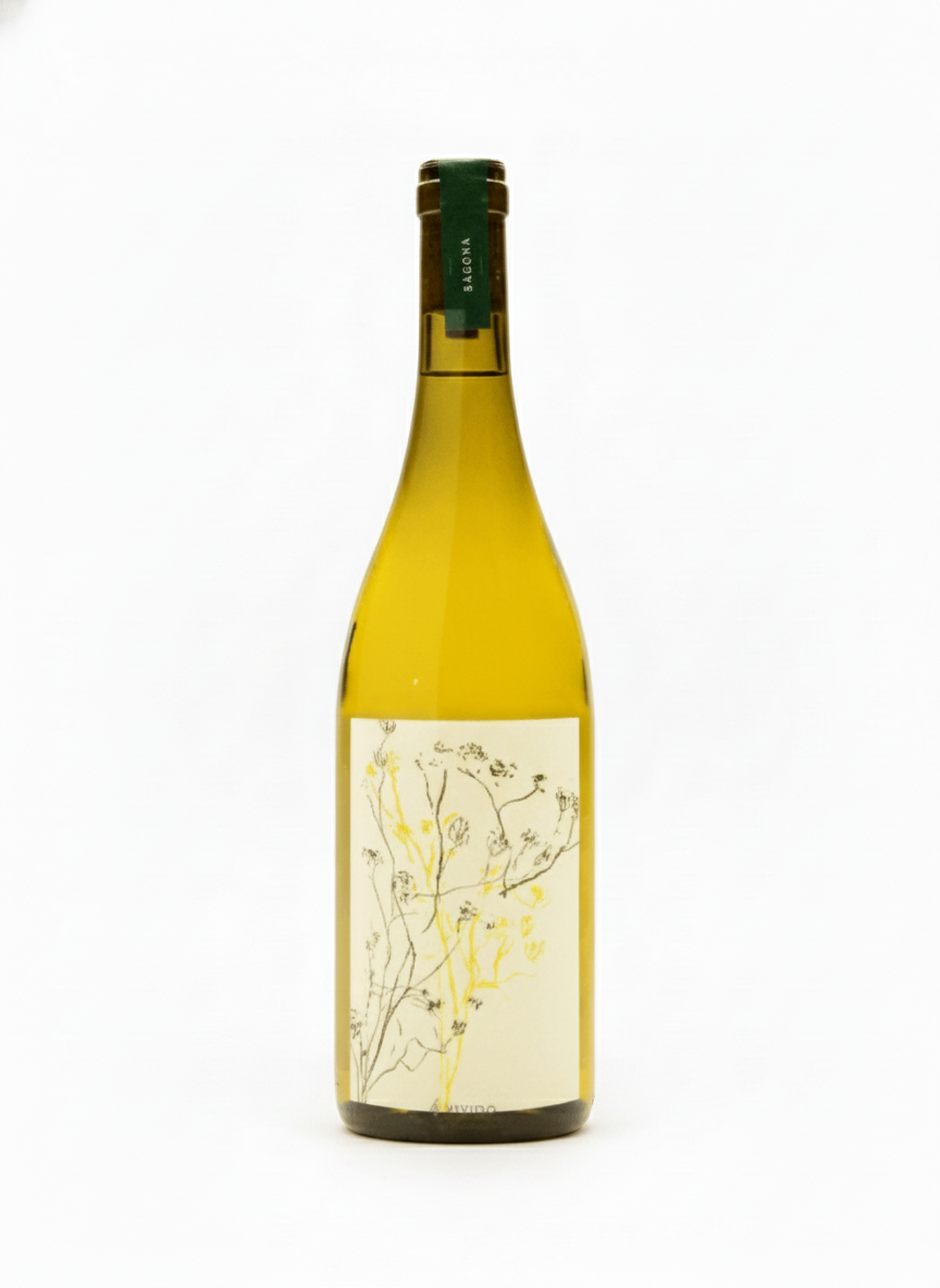 2022 Sagona Primi Passi