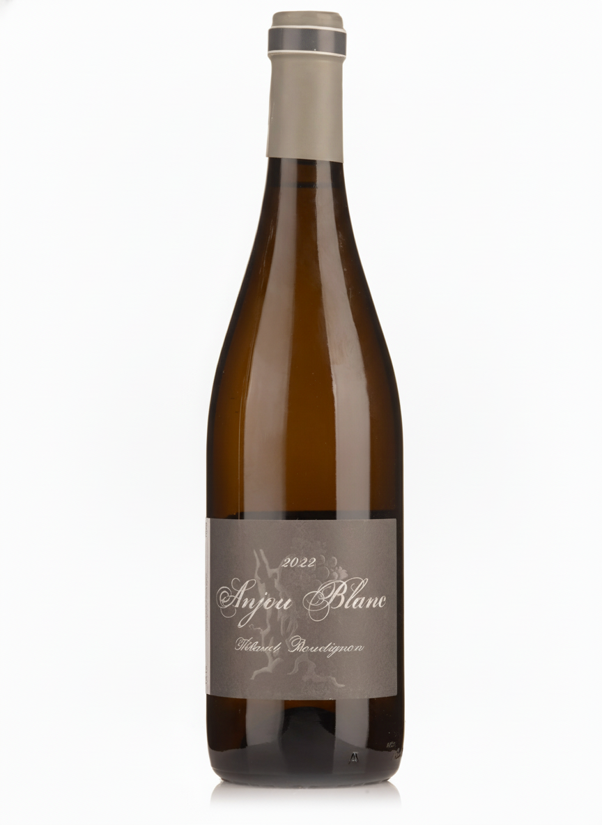 2022 Thibaud Boudignon Anjou Blanc