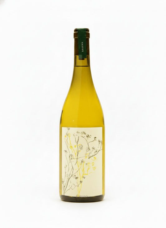 2022 Sagona Primi Passi