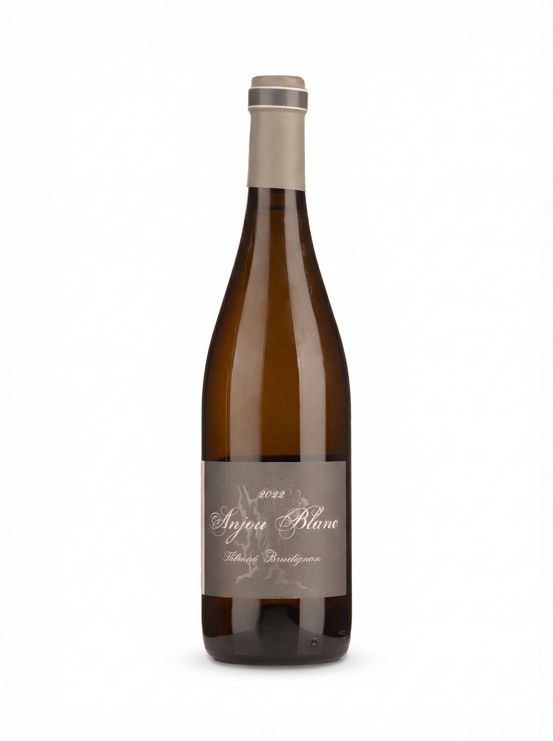 2022 Thibaud Boudignon Anjou Blanc