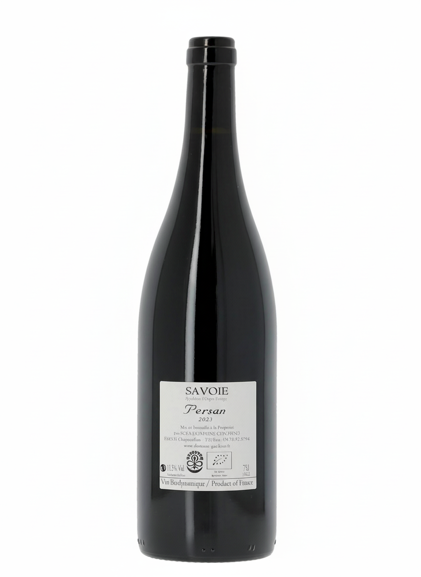 2023 Giachino Persan