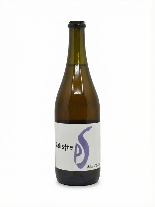 2023 Il Saliceto Falistra Lambrusco di Sorbara