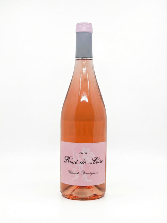 2023 Thibaud Boudignon Rosé