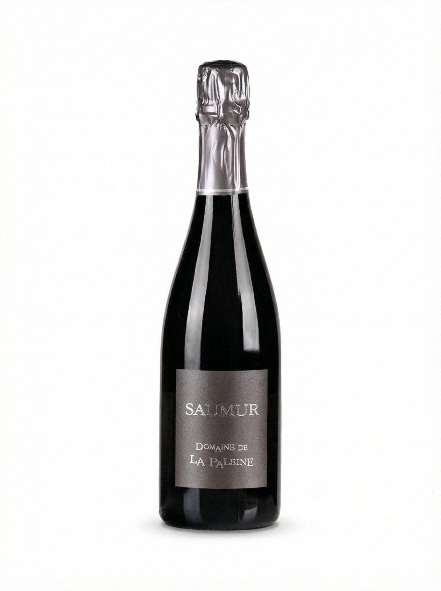 NV Domaine Paleine Saumur Brut
