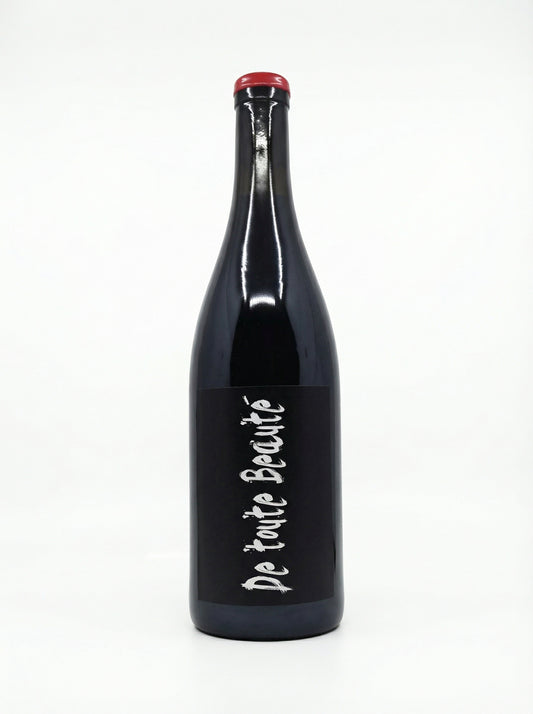 NV JF Ganevat De Toute Beauté VDF Rouge